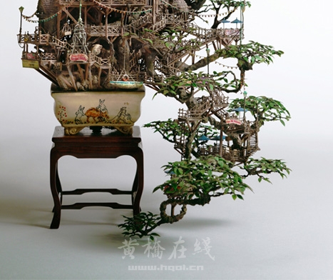 2_Aiba_Bonsai-B-zoom2.jpg