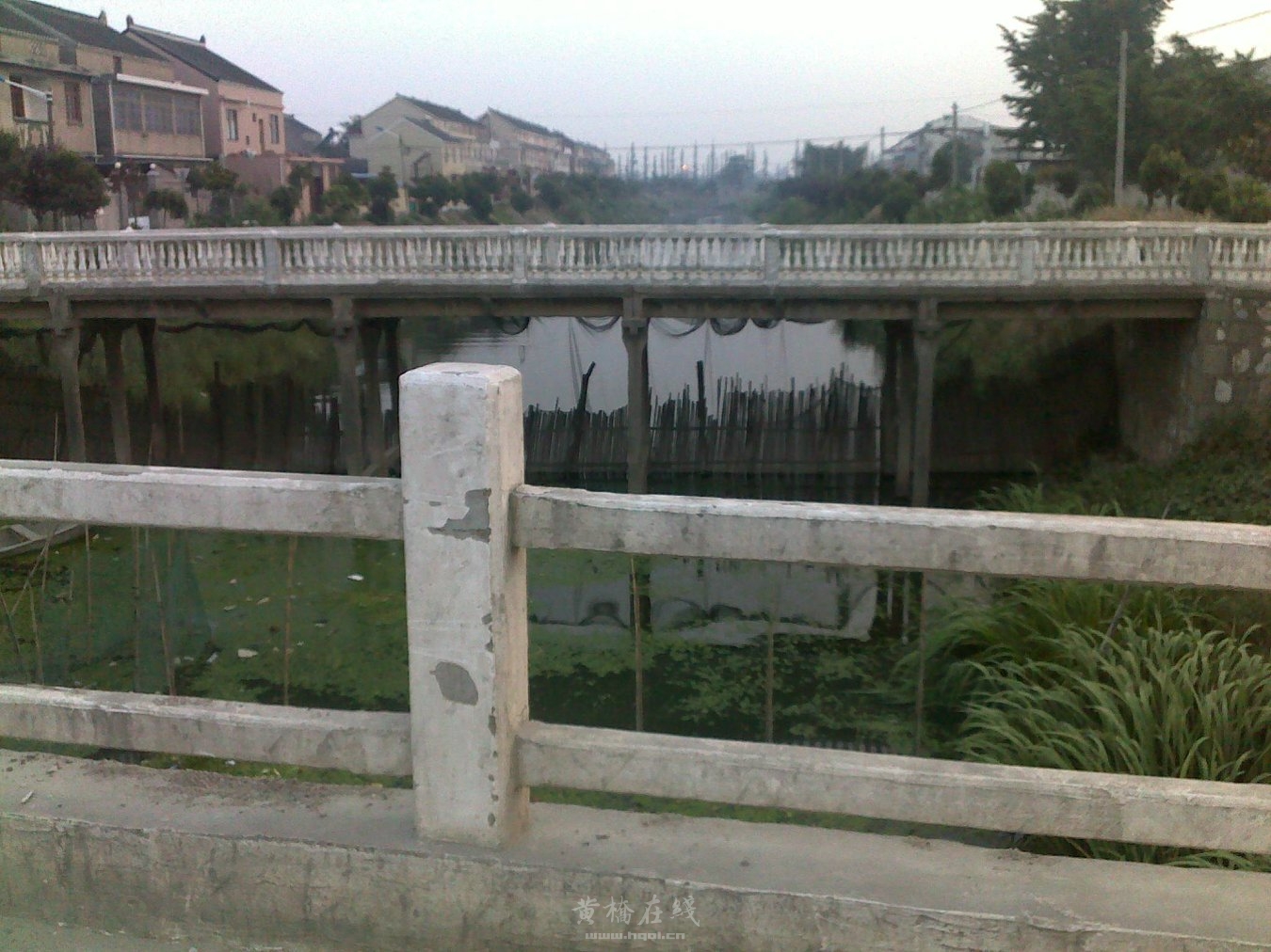 20120602137.jpg