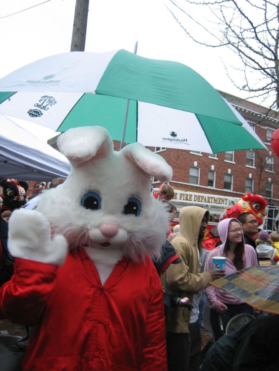 White Rabbit2011.jpg